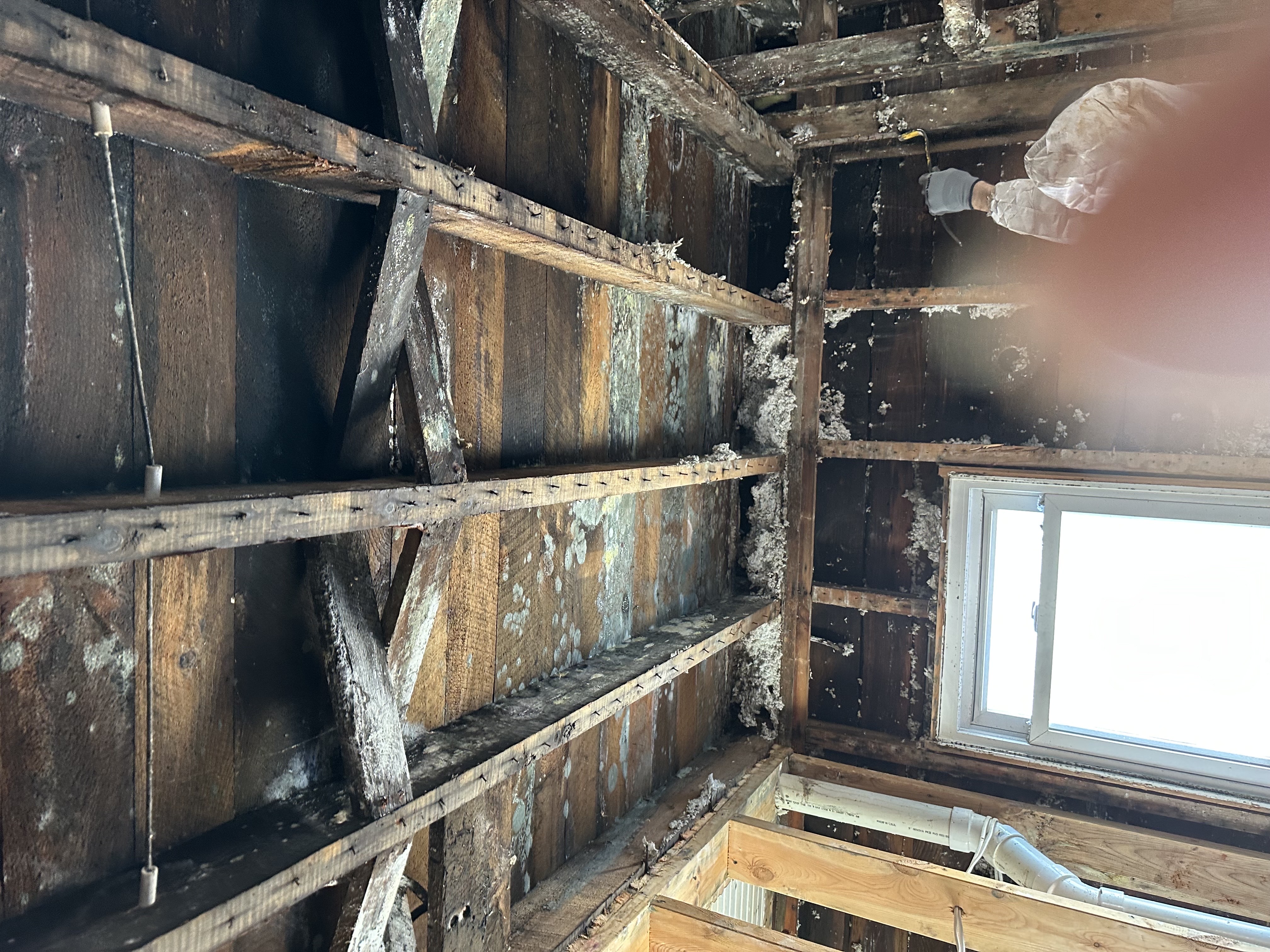 Structural Drying in Washington County, Minnesota - Water Damage Cleanup .AI CORP | American Restores Group
